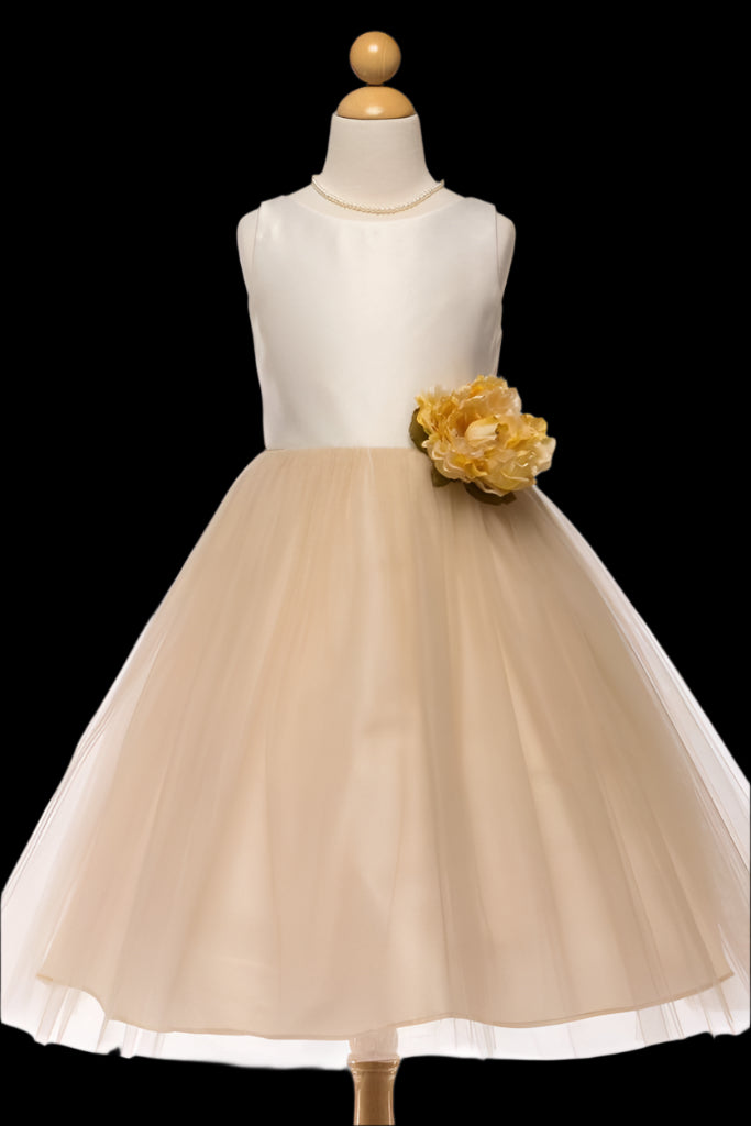 Petite Adele Hannah Dress

Champagne