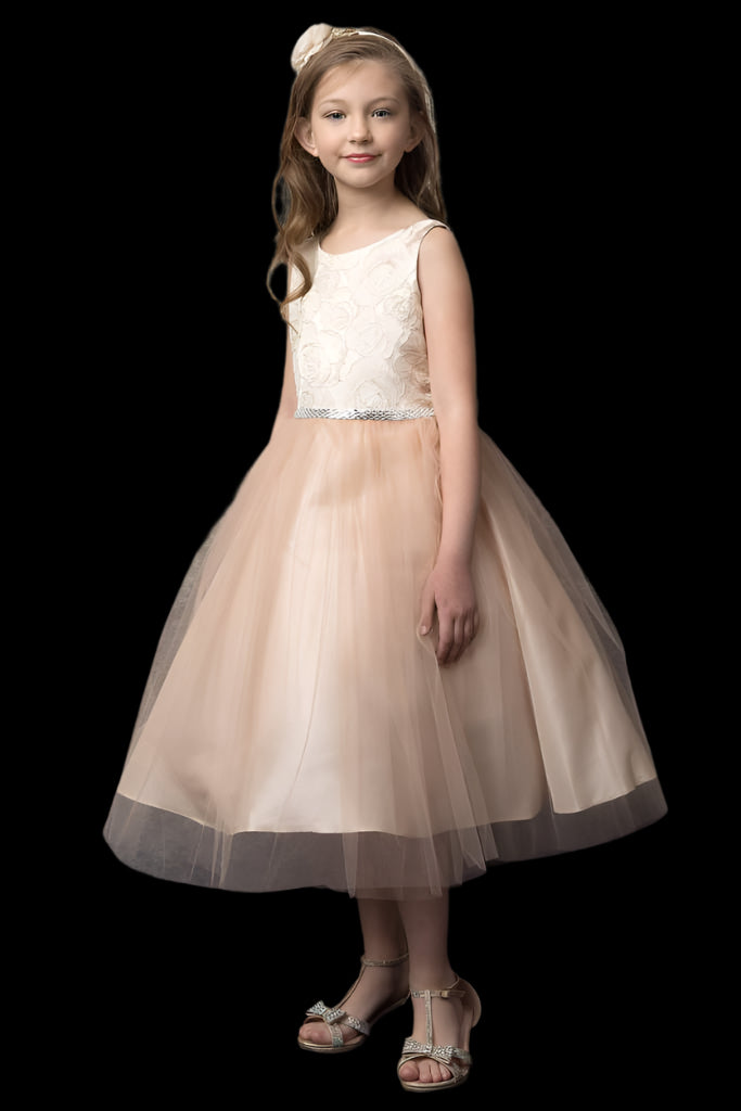 Petite Adele Normani Dress

Champagne