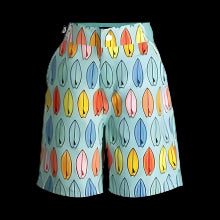 Andy and Evan Surfboards Swim Trunks